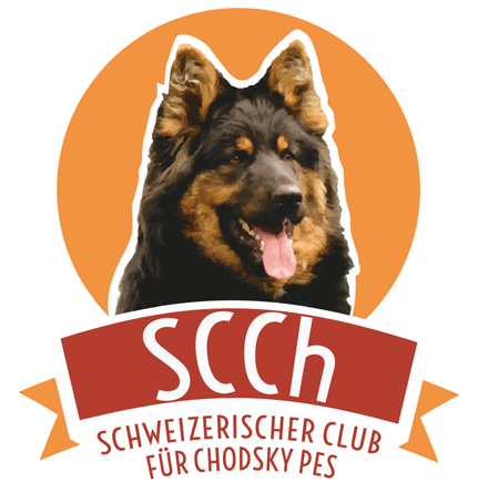 Logo SCCh