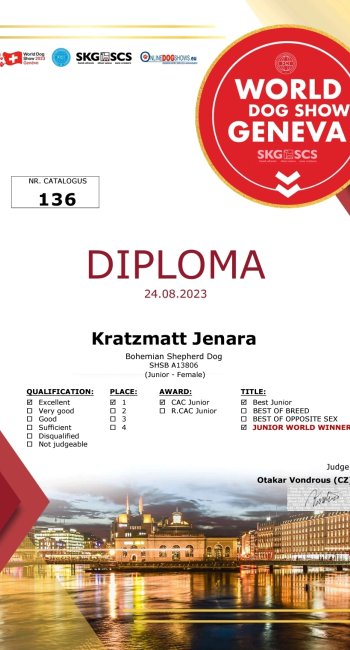 Jenara Diplom